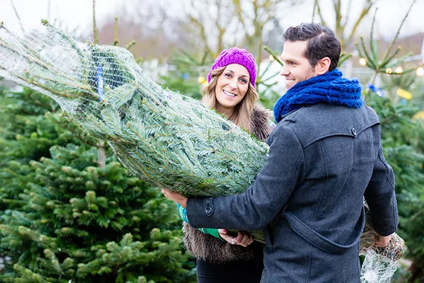 Anverdan Kerstbomen verhuur