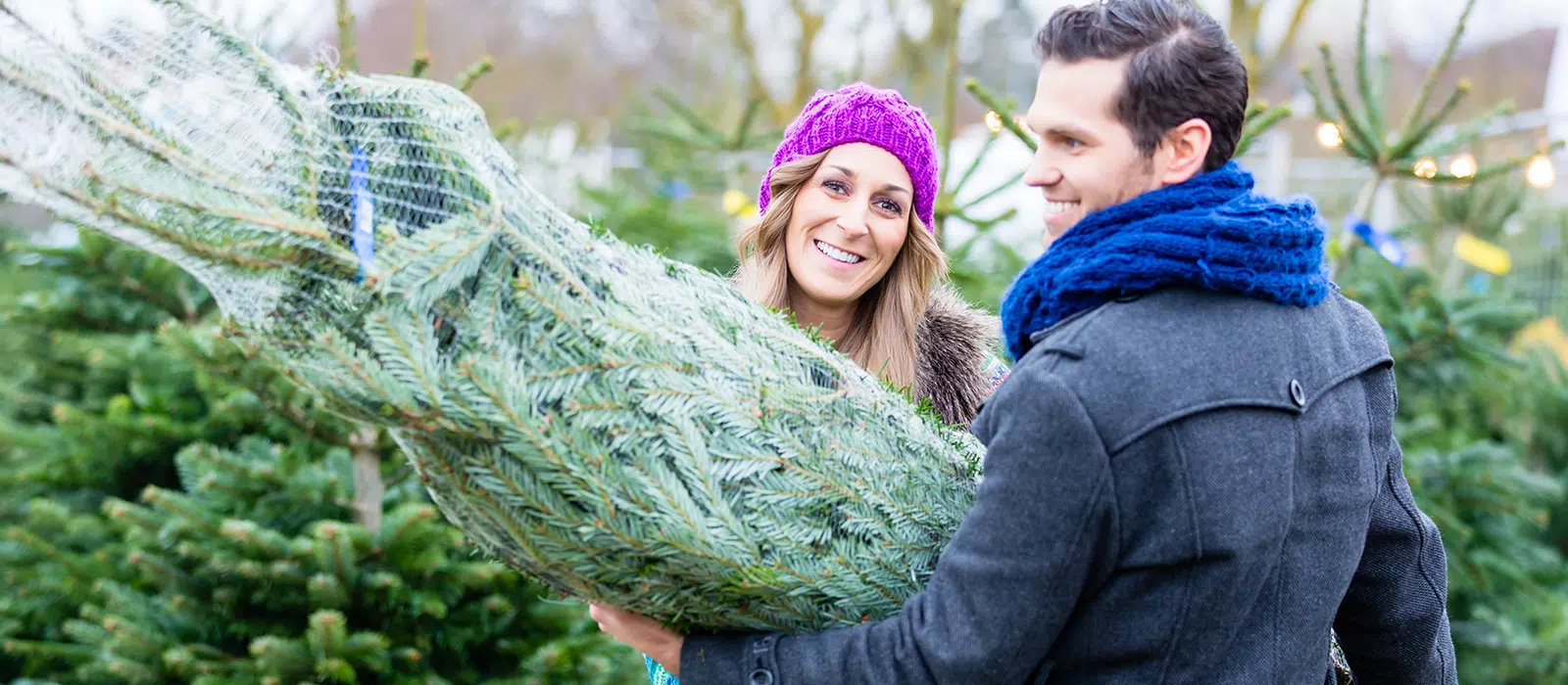 Anverdan Kerstbomen verhuur